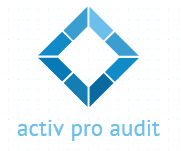 Activ Pro Audit